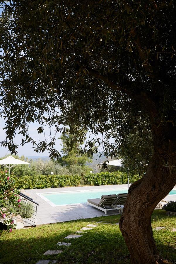 נאוס מרמרס Sithonian Villa מראה חיצוני תמונה